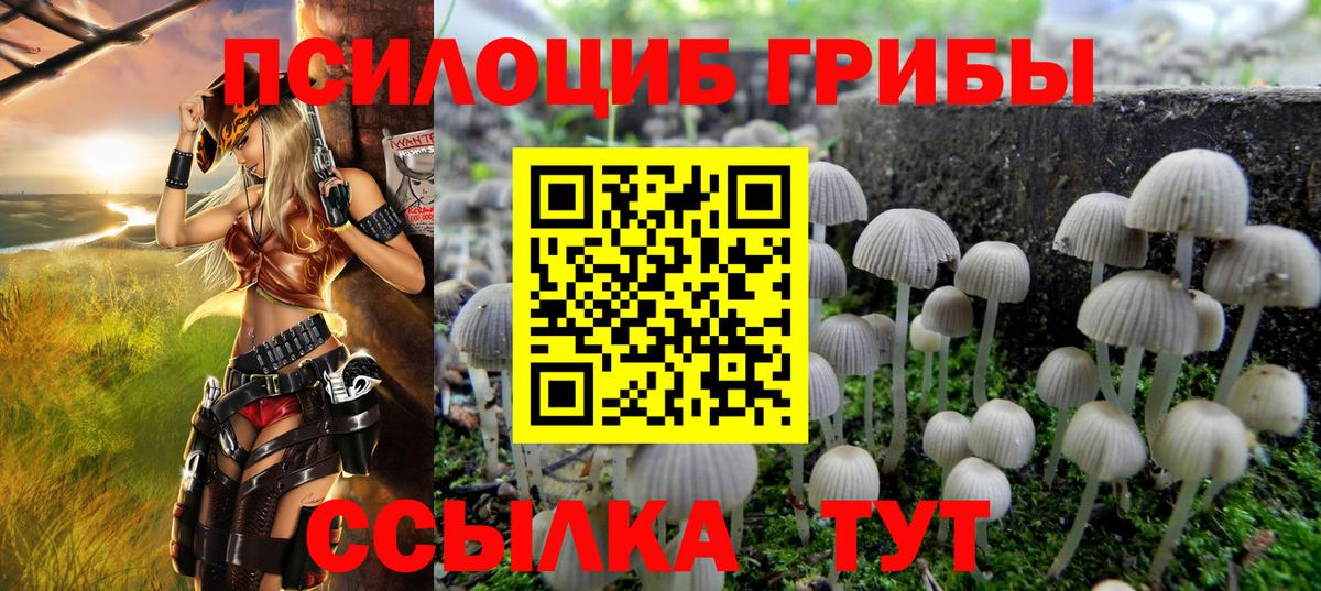 Галлюциногенные грибы GOLDEN TEACHER  Галлюциногенные грибы прущие грибы  Вход с VPN  Вязники 